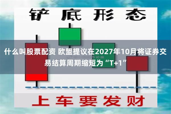 什么叫股票配资 欧盟提议在2027年10月将证券交易结算周期缩短为“T+1”