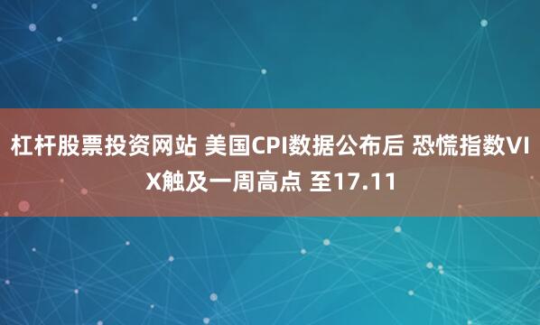 杠杆股票投资网站 美国CPI数据公布后 恐慌指数VIX触及一周高点 至17.11