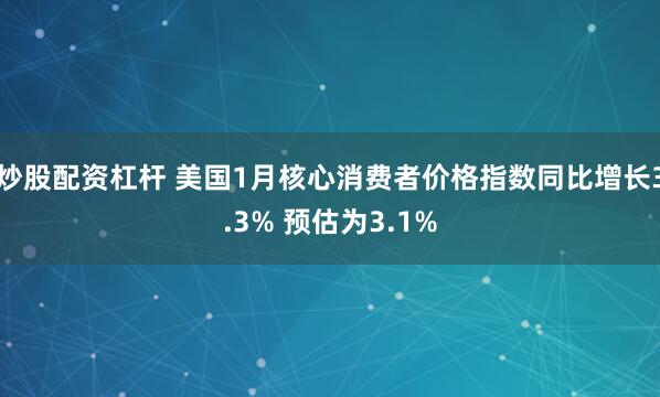 炒股配资杠杆 美国1月核心消费者价格指数同比增长3.3% 预估为3.1%